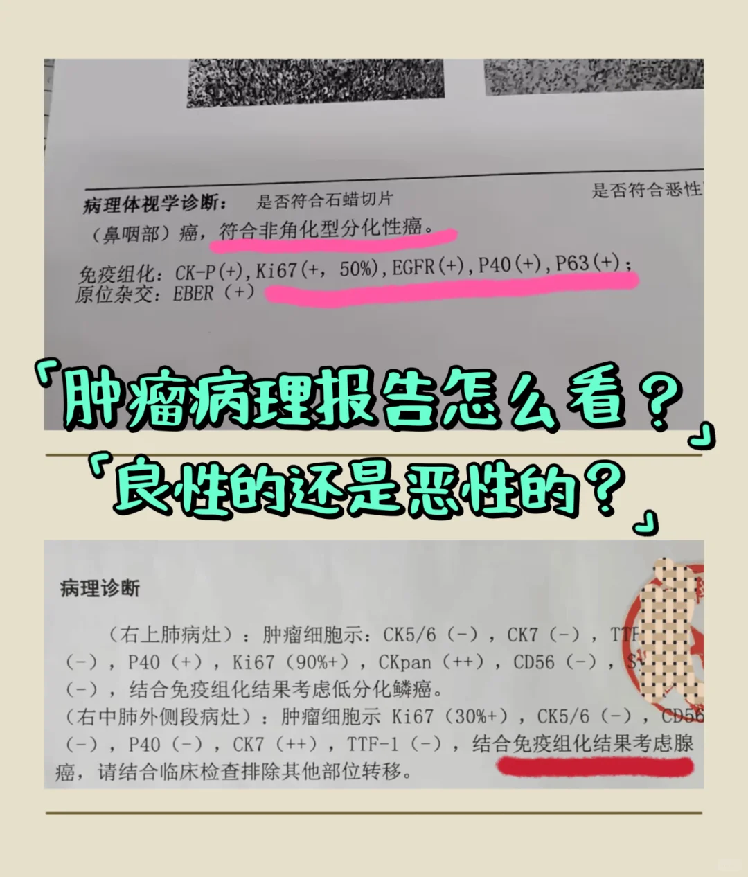 【2026指南】安徽合肥105医院供卵：资质条件与卵源等候说明