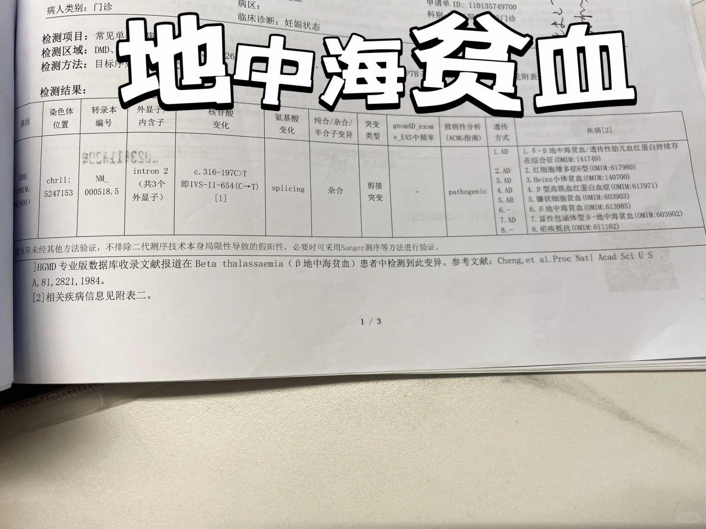 地中海贫血无需过度担忧，探寻辅助生殖的可能性