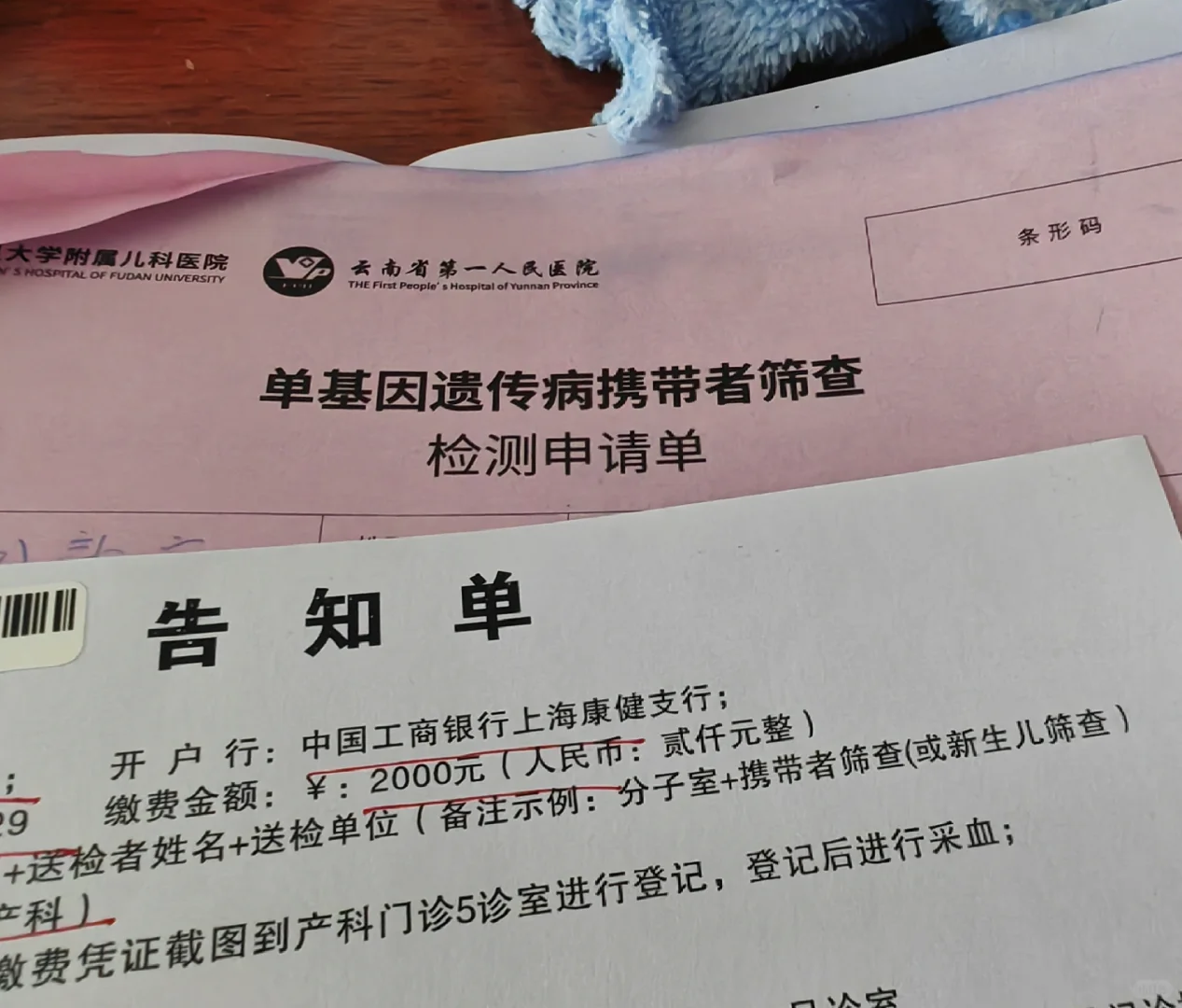 孕期干货分享,供卵代怀机构有几家