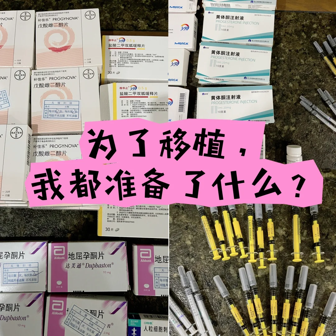我的第三次移植准备：减重、用药与免疫检查